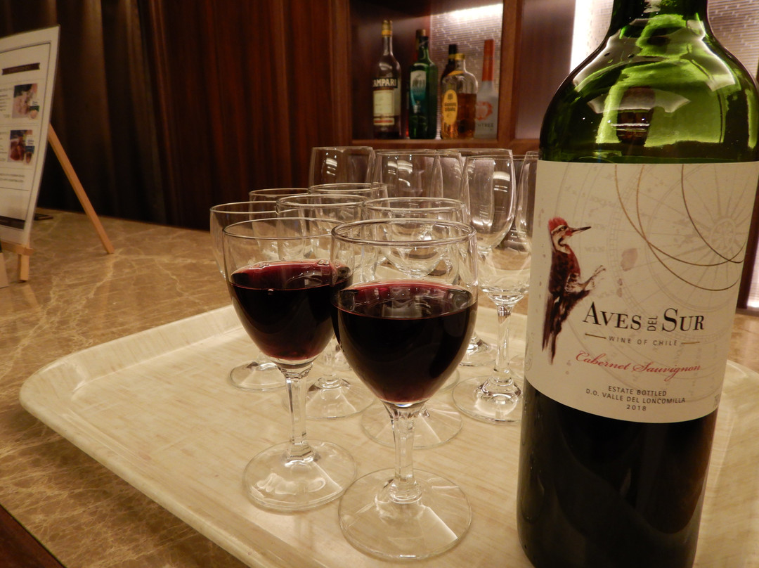 钏路世纪城堡酒店主图