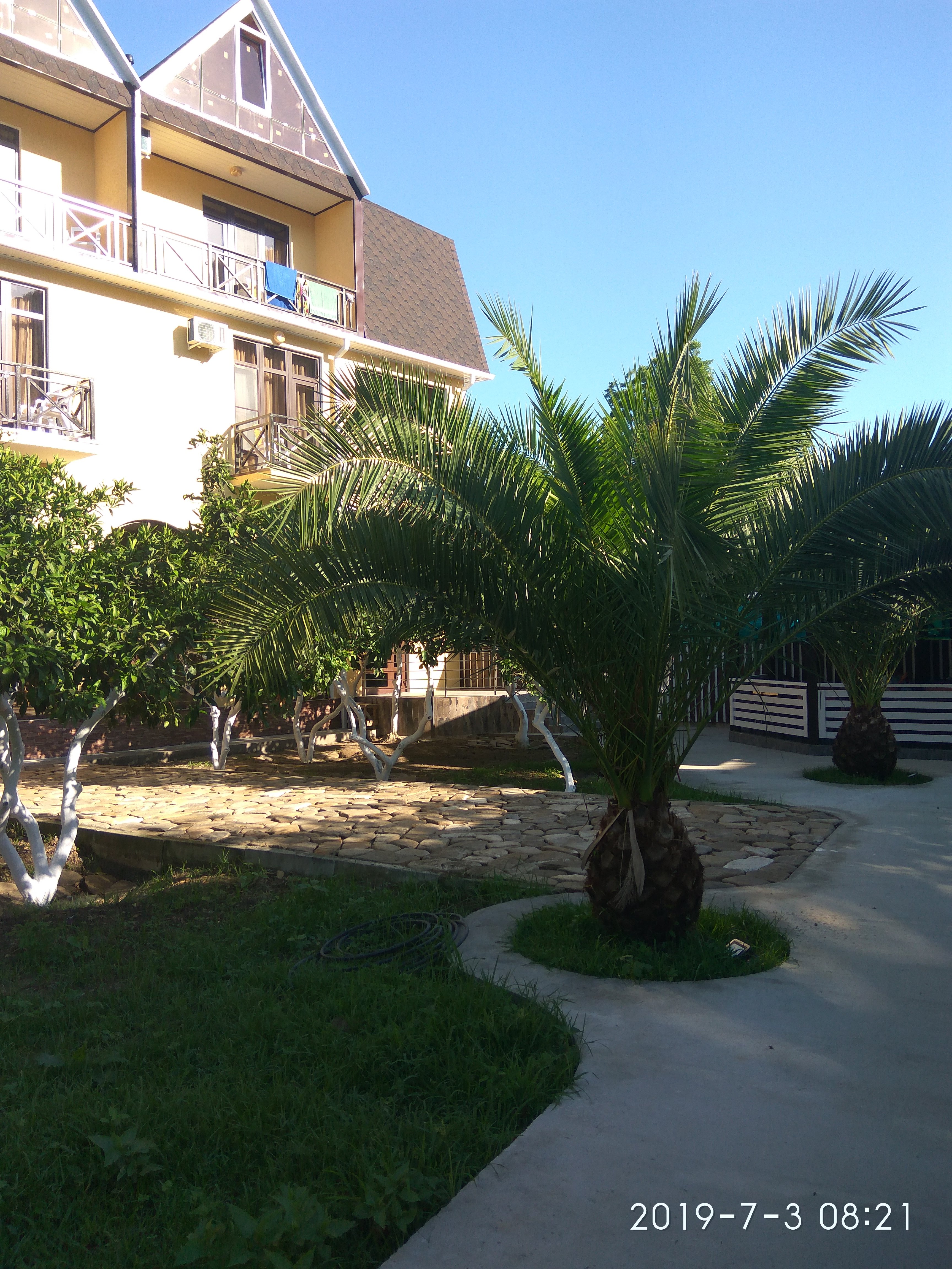 Hotel Danelyan-官方