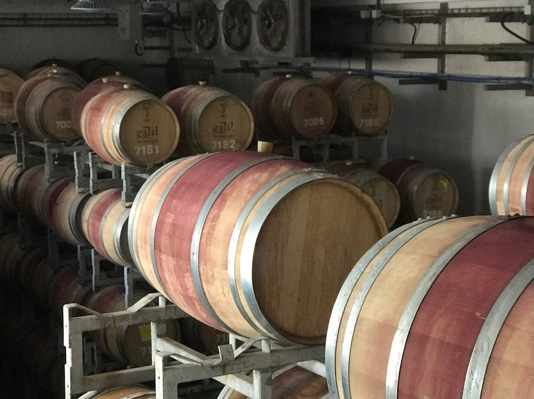 Galil Mountain Winery-Yiron必去景点