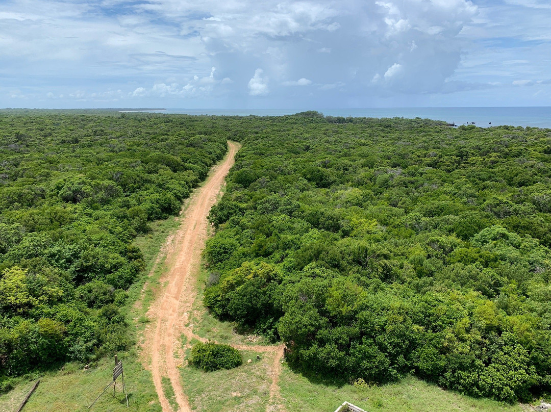 Ras Mkumbi-马菲亚岛必去景点