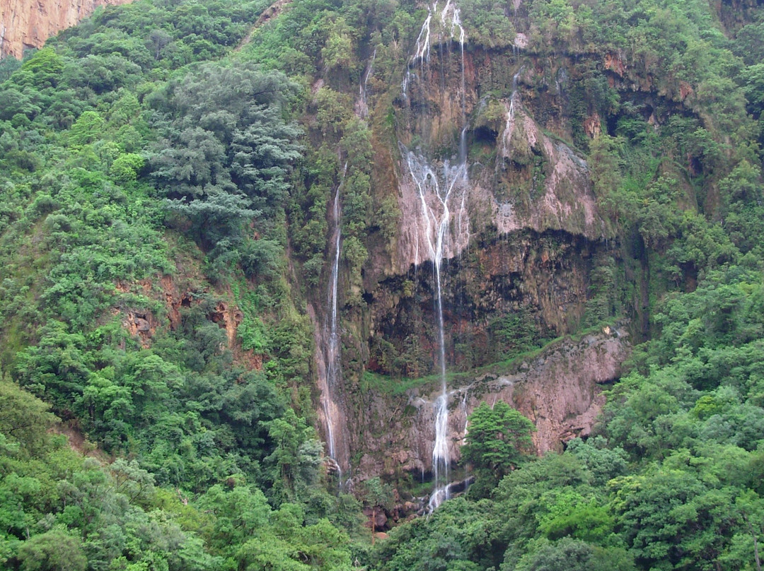 Blyde Canyon Safaris景点图片