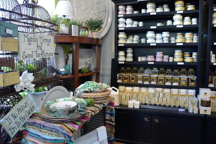 Twisted Sisters!-费尔南迪纳岛必去景点