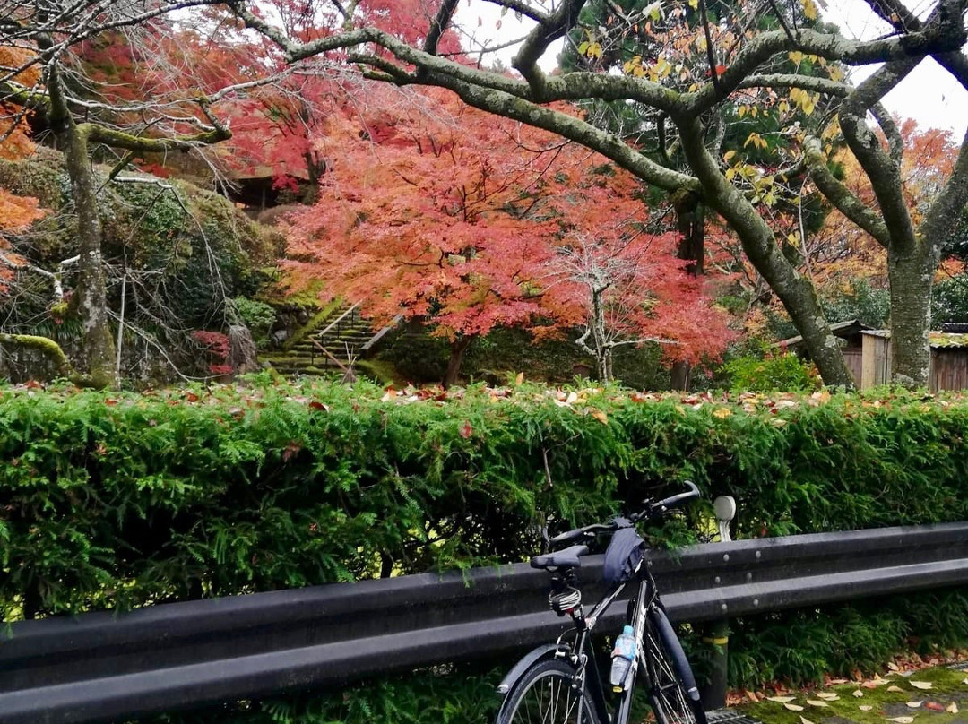 Kyoto Adventures-京都市必去景点