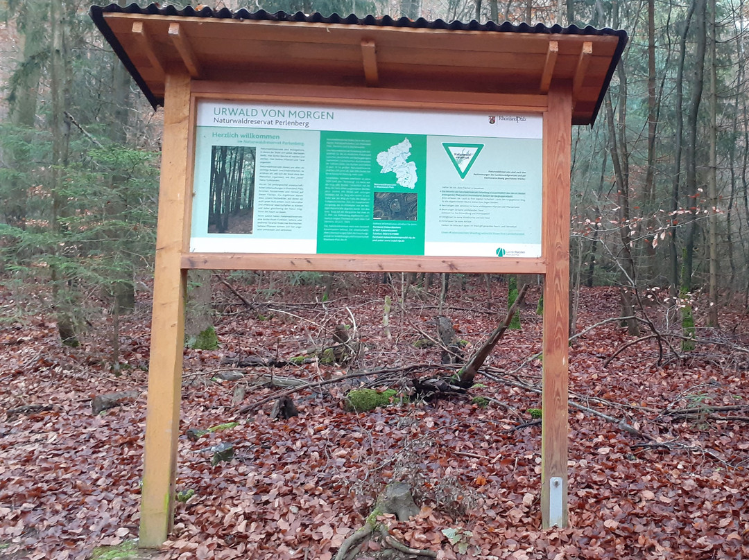 Burgruine Perlenberg-Bann必去景点