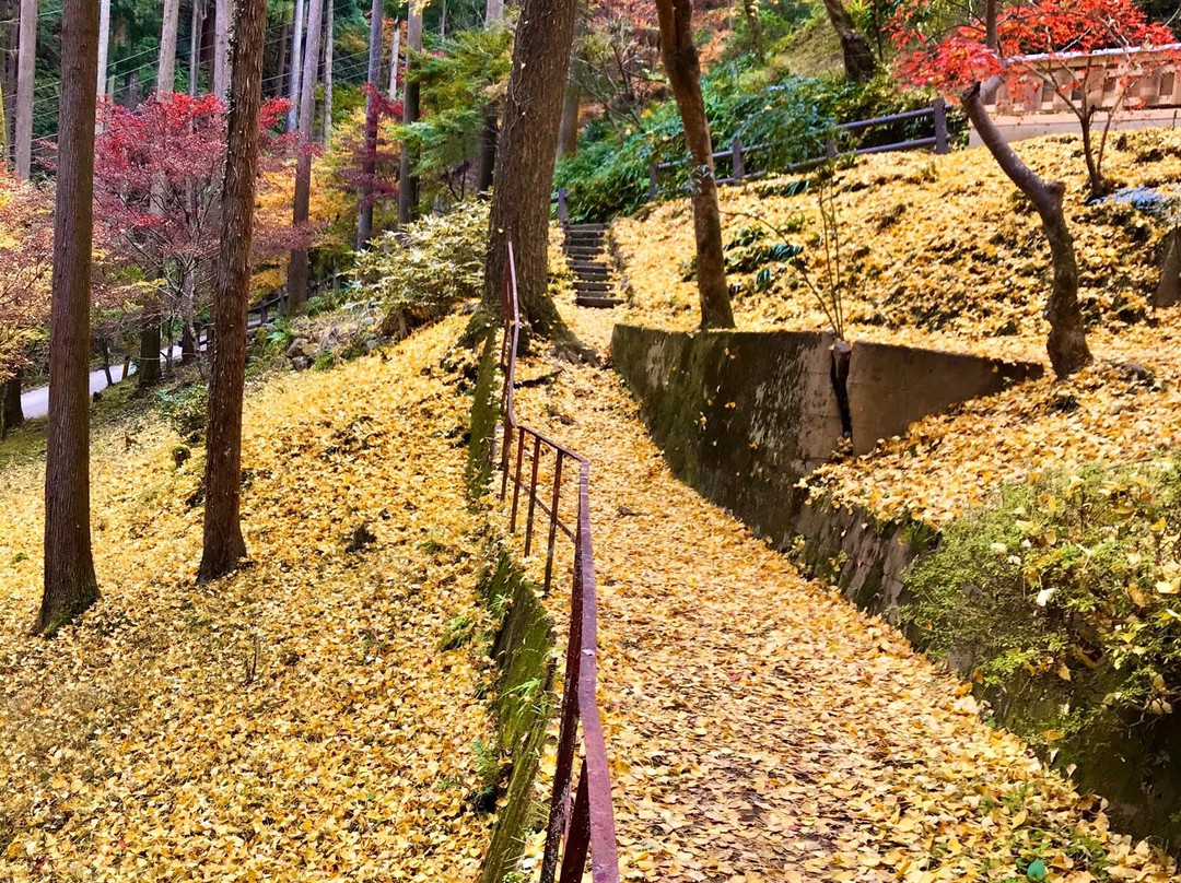 Chichibu Mitake Shrine-饭能市必去景点