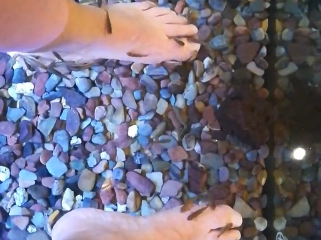 Fish Spa & Wellness Lounge景点图片