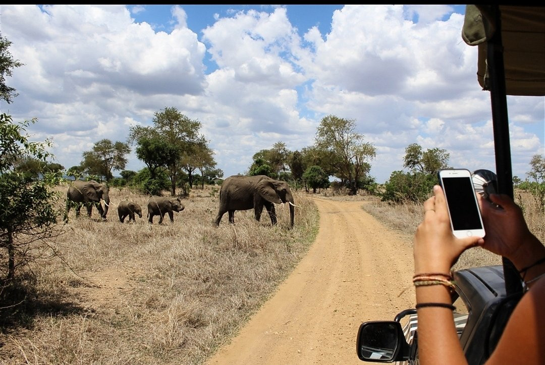 Wildtrip Safaris-Dar es Salaam必去景点