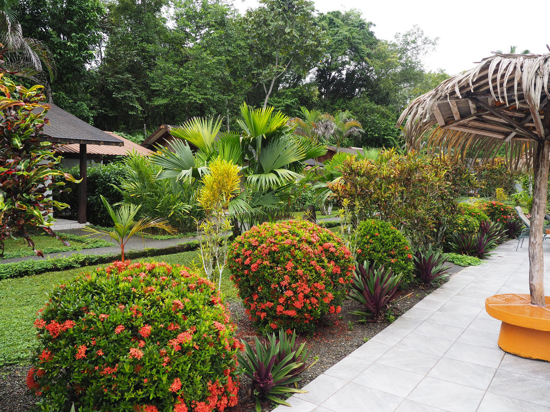 Suizo Loco Lodge Hotel & Resort主图