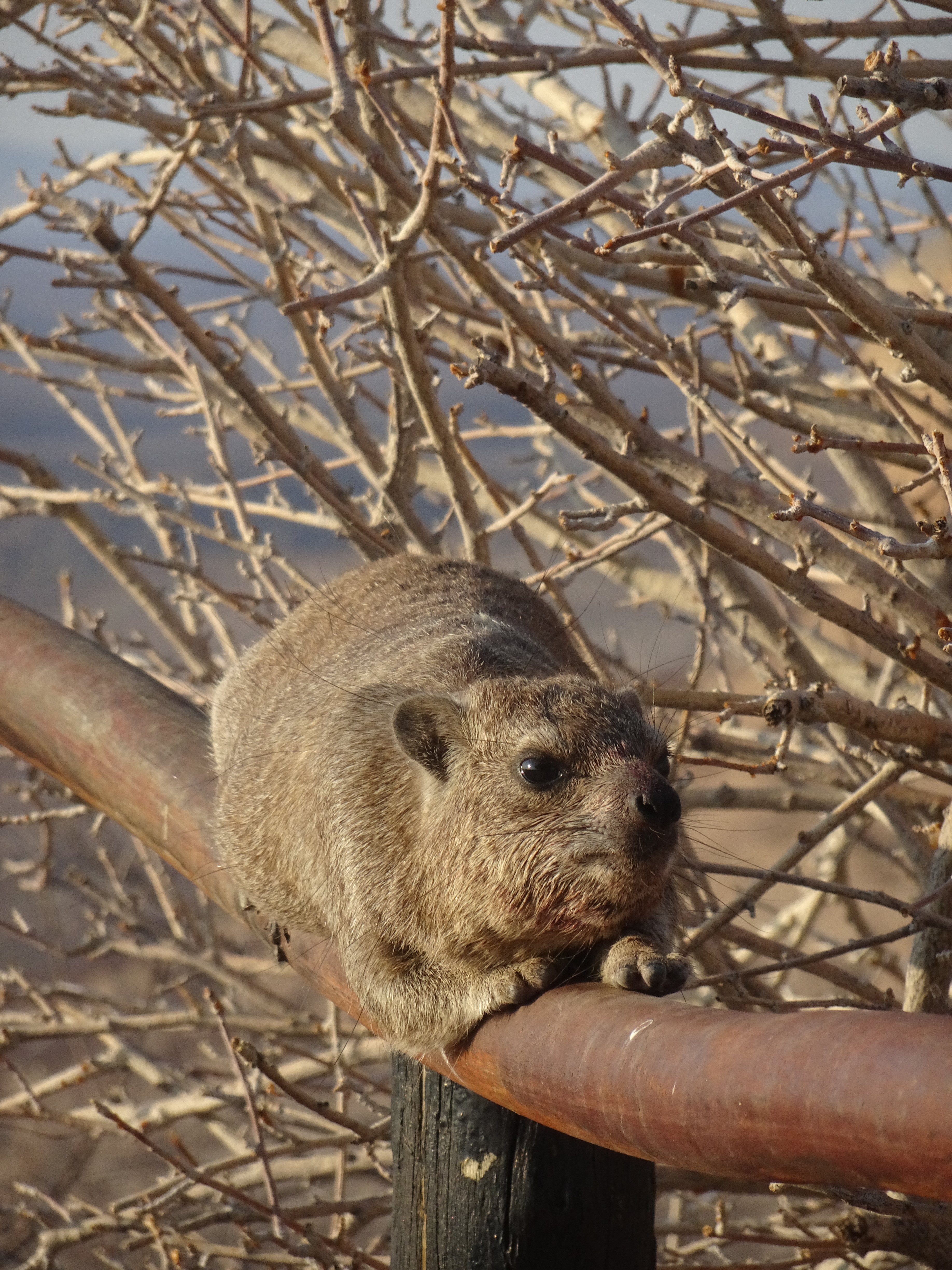 Vingerklip Lodge-酒店景观