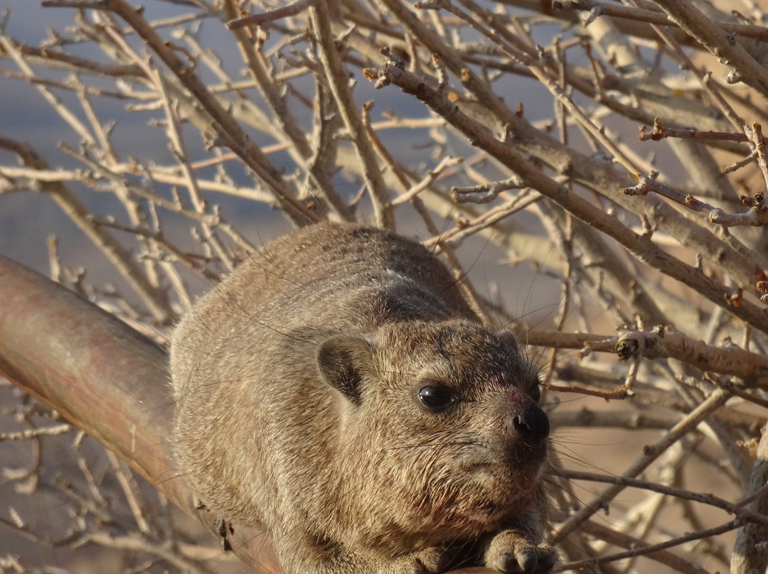 Vingerklip Lodge主图