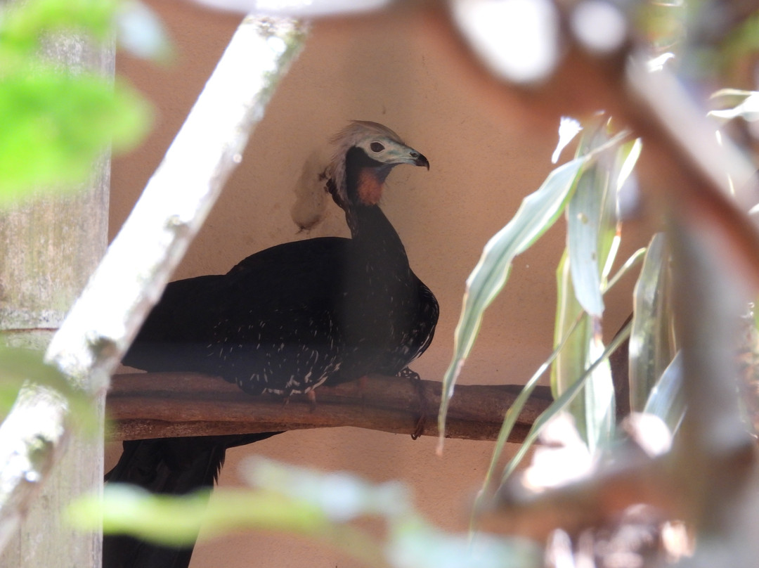 Parque Ecológico de São Carlos-Sao Carlos必去景点