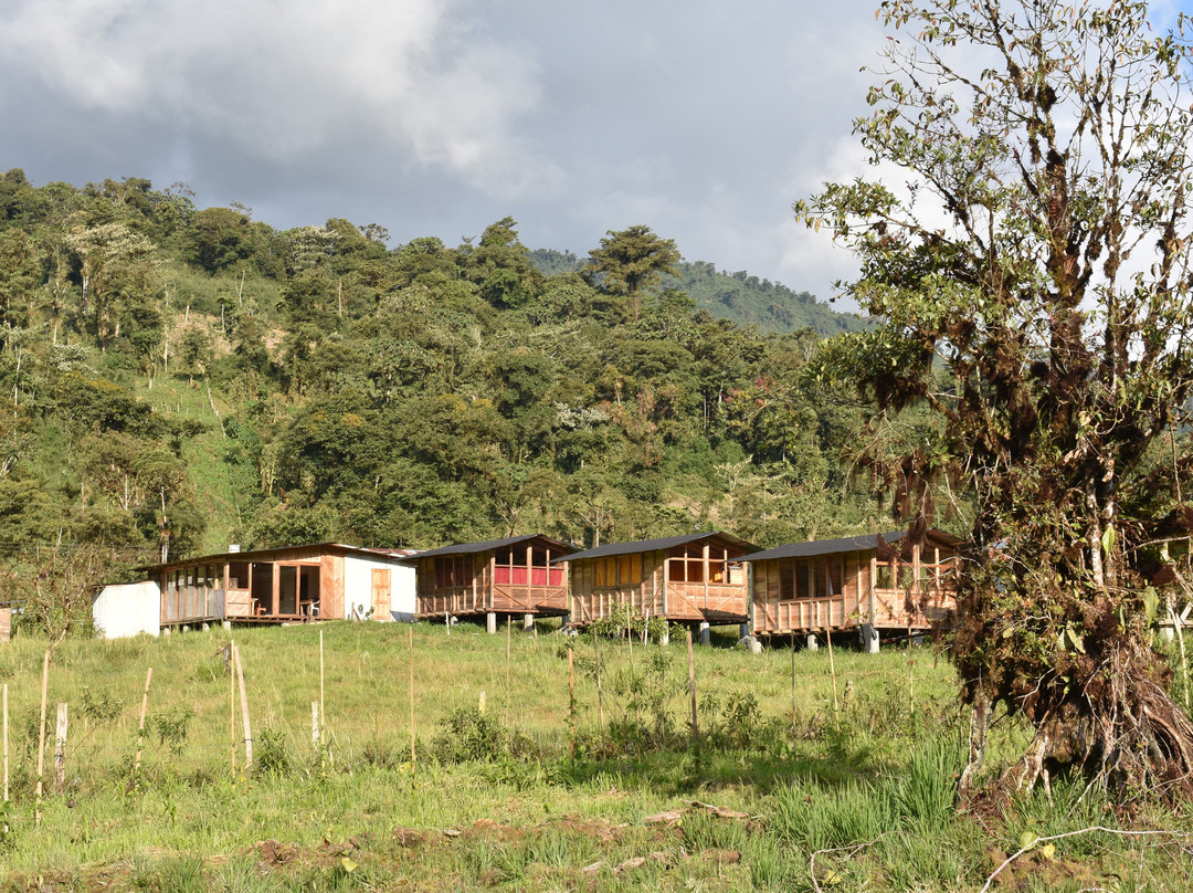 Cabanas Tamiaju