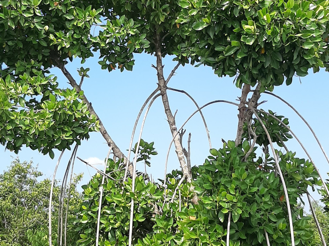 Munroe Paradise主图