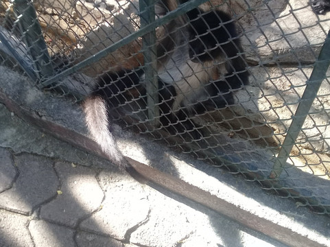 Zooira-Irapuato必去景点