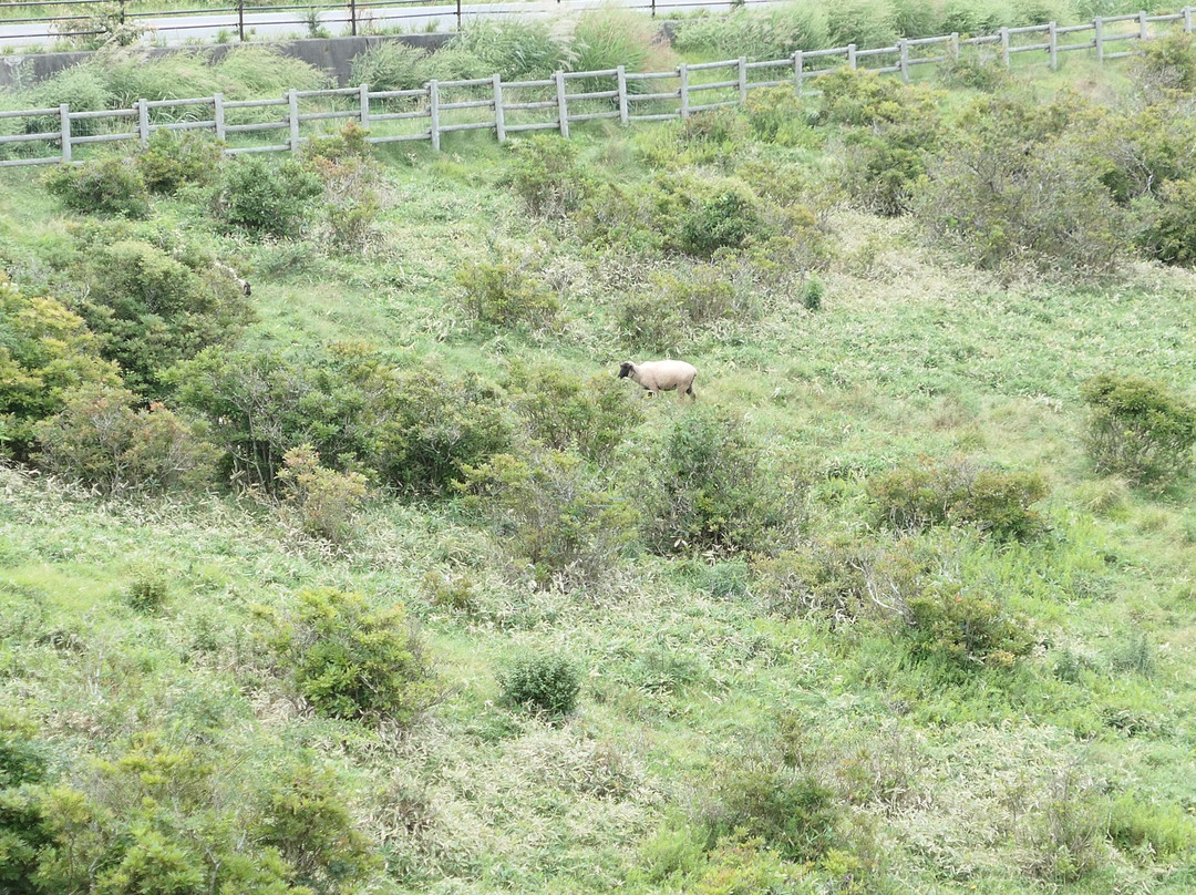 Akagisan General Tourism Information Cneter-前桥县必去景点