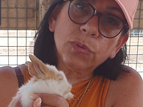 Swiss Sheep Farm Pattaya-芭堤雅必去景点