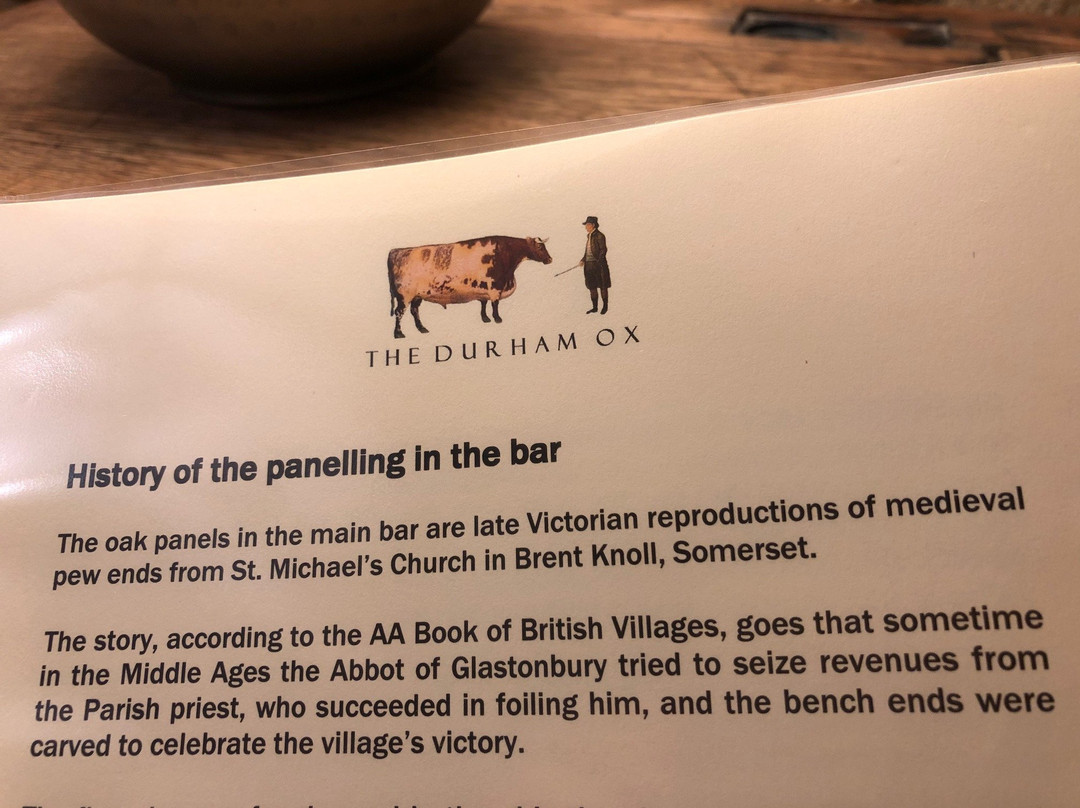 The Durham Ox主图