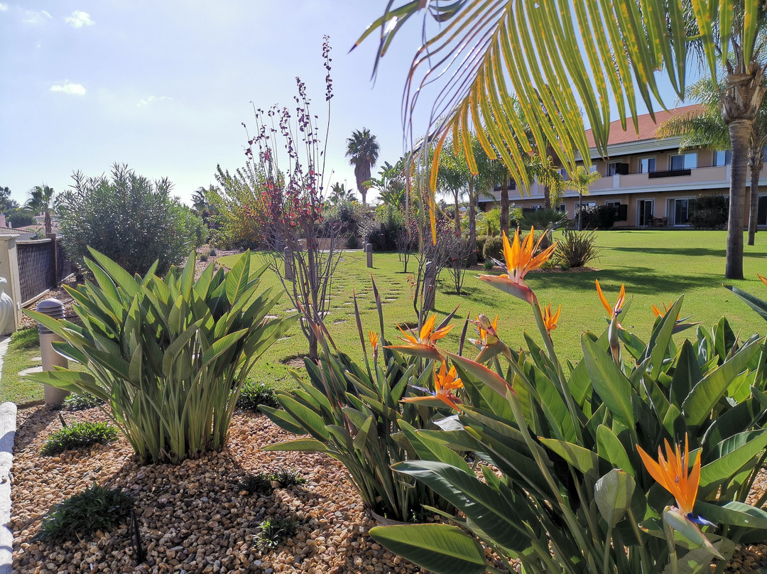 Wyndham Grand Algarve主图