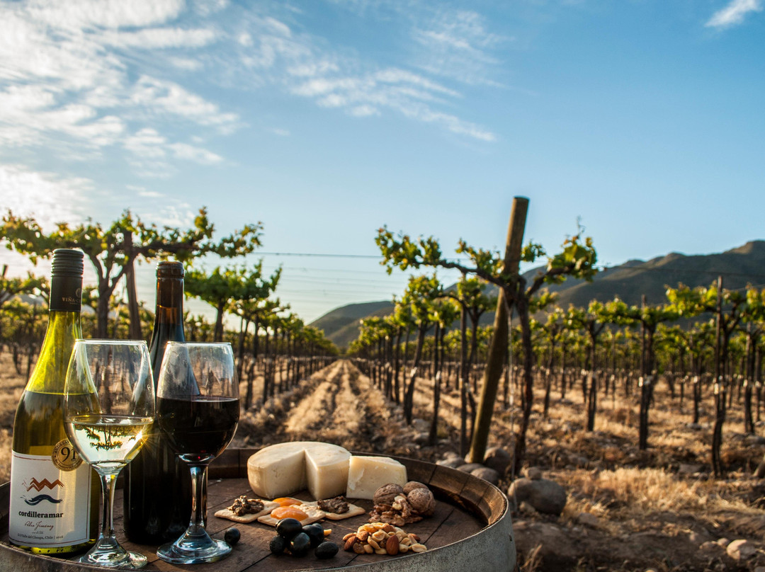 Viña Choapa-Salamanca必去景点