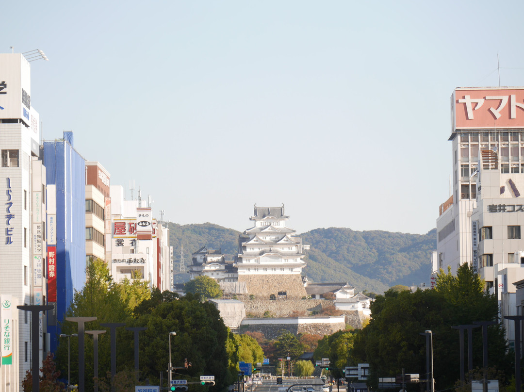 Viewing Deck, Himeji Station Square景点图片