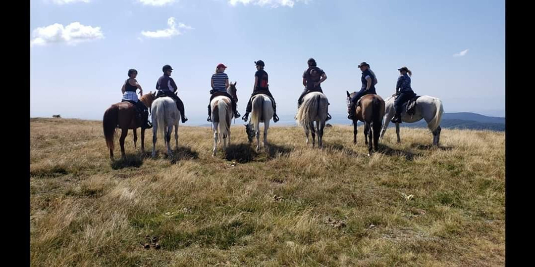 Horseback Riding Camp Ezdul景点图片