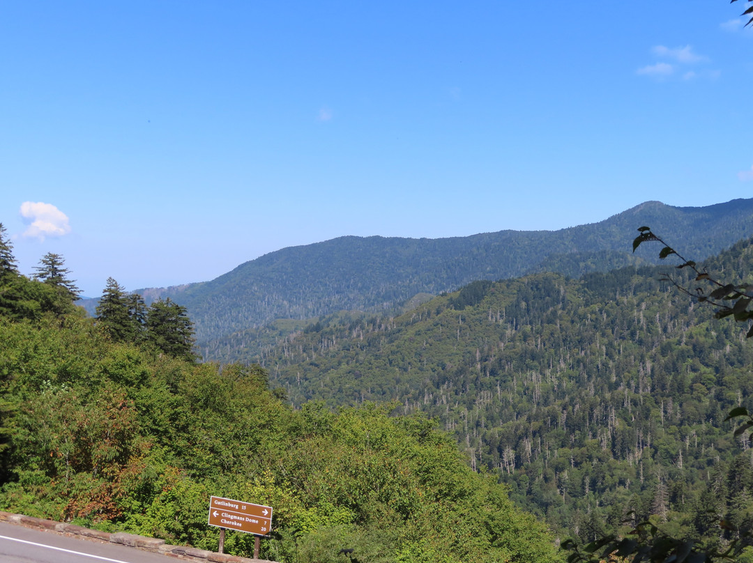 Rockefeller Memorial-大雾山国家公园必去景点
