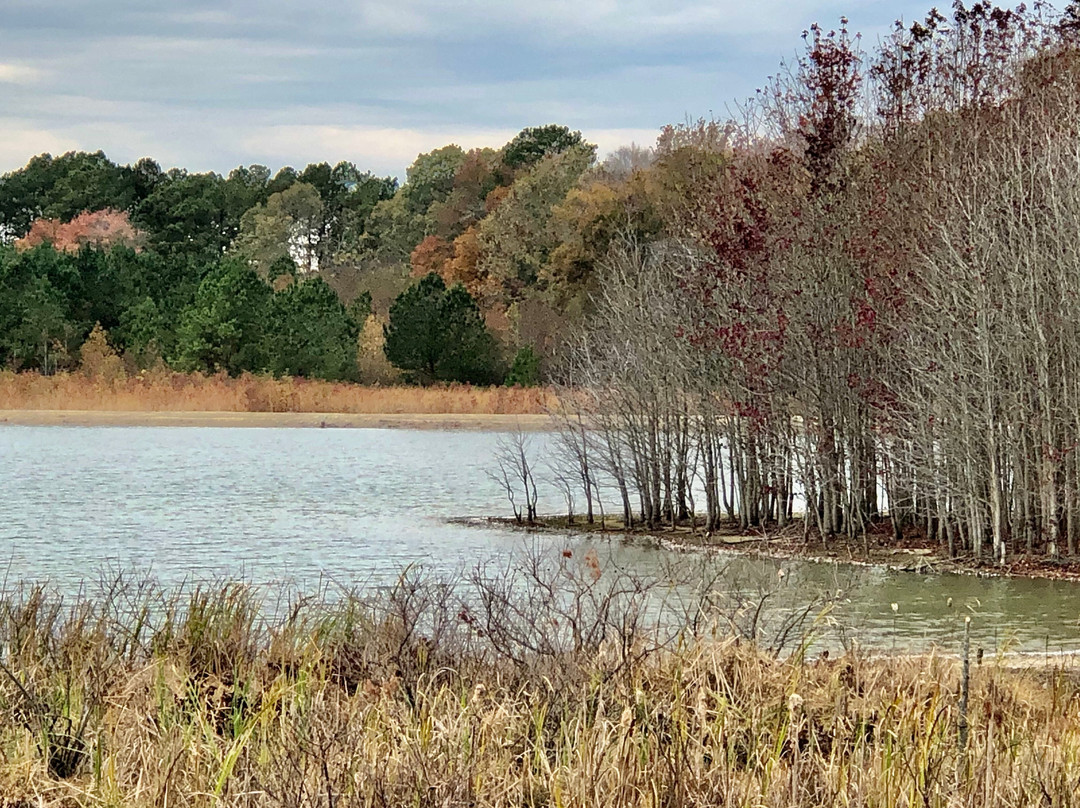 Pickering Creek Audubon Center景点图片