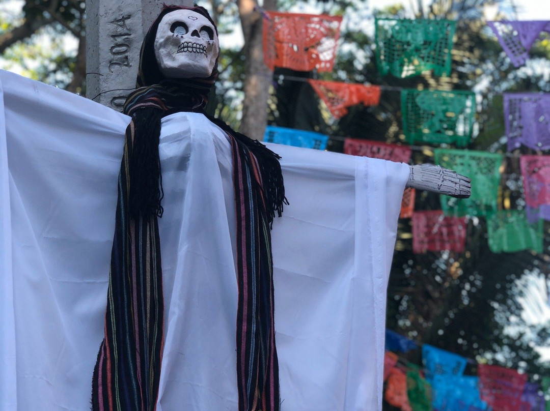 Performance Stand Up Paddle-蓬塔米塔必去景点