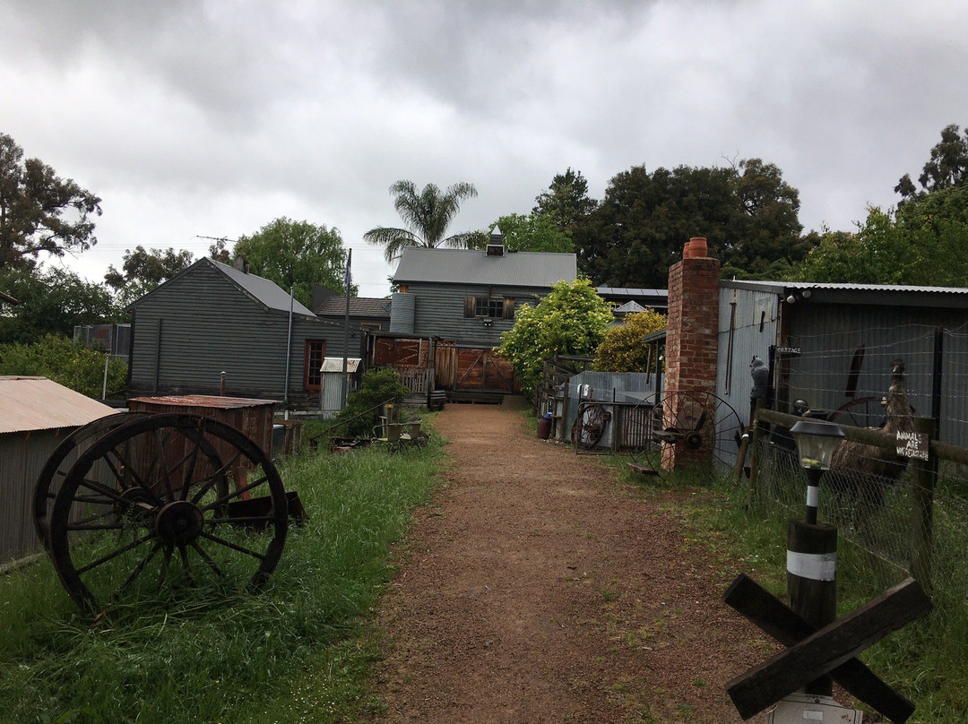 A Twist Of Willow主图