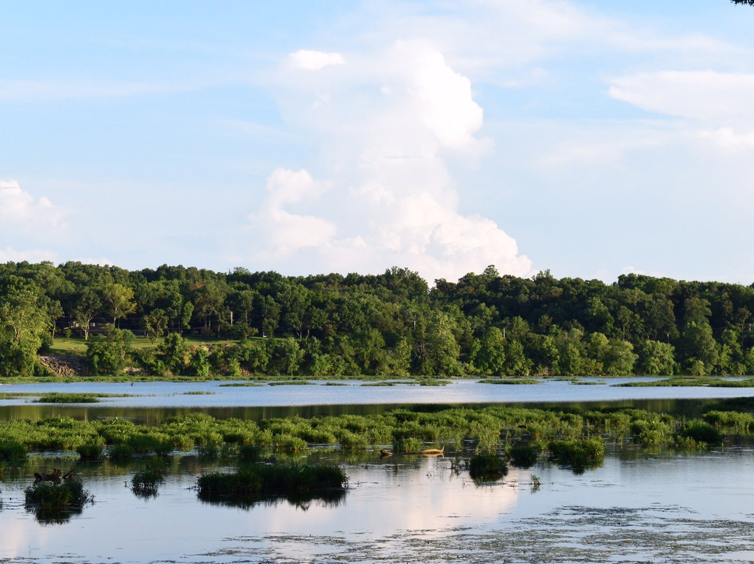 Lake Springfield Park, Boathouse and Marina-斯普林菲尔德必去景点