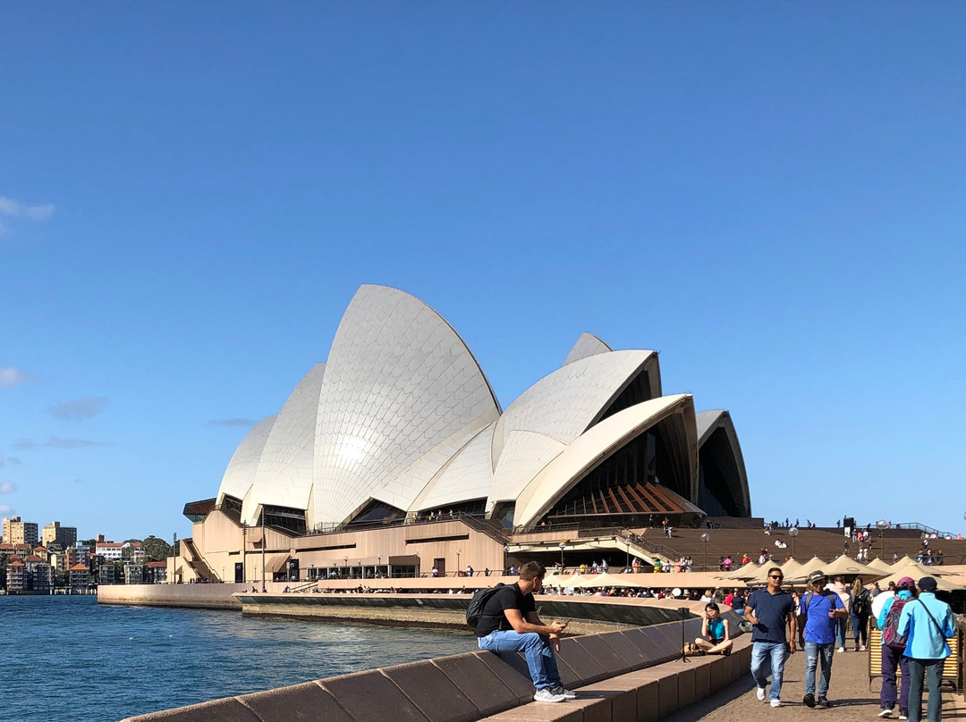 Real Sydney Tours景点图片