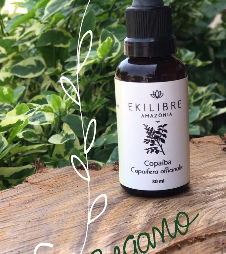 Ekilibre Amazonia-Alter do Chao必去景点