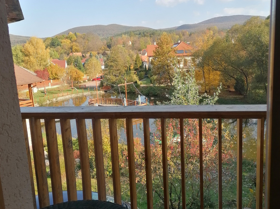 Aranybanya Hotel主图