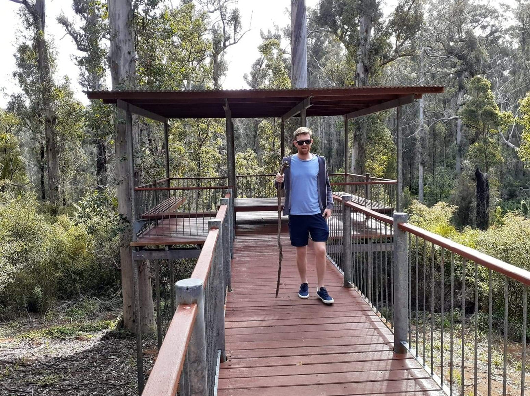 Lane-Poole Falls-Northcliffe必去景点