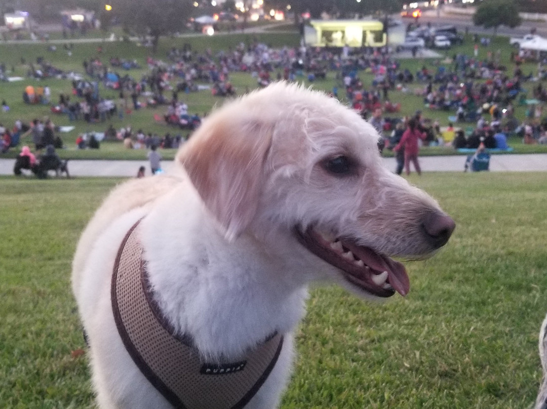 Veteran's Park-密尔沃基必去景点