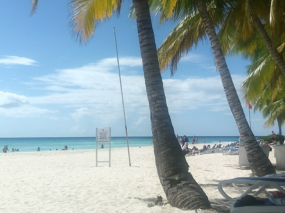 Saona Island景点图片