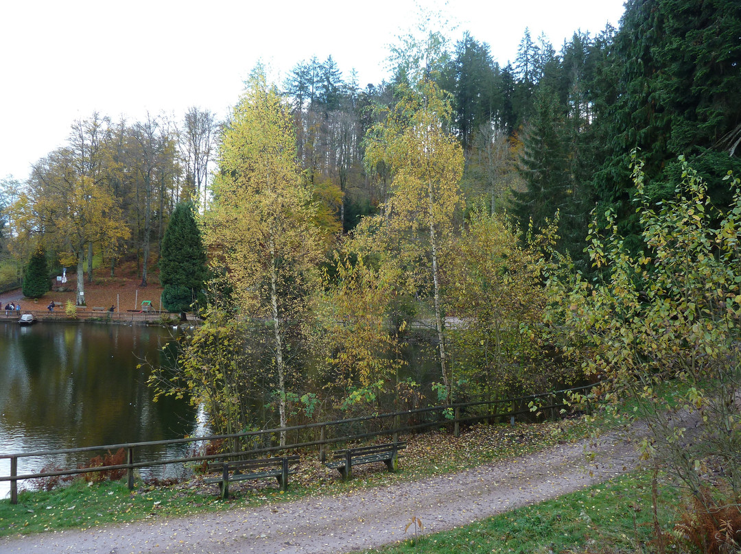 Bergsee景点图片