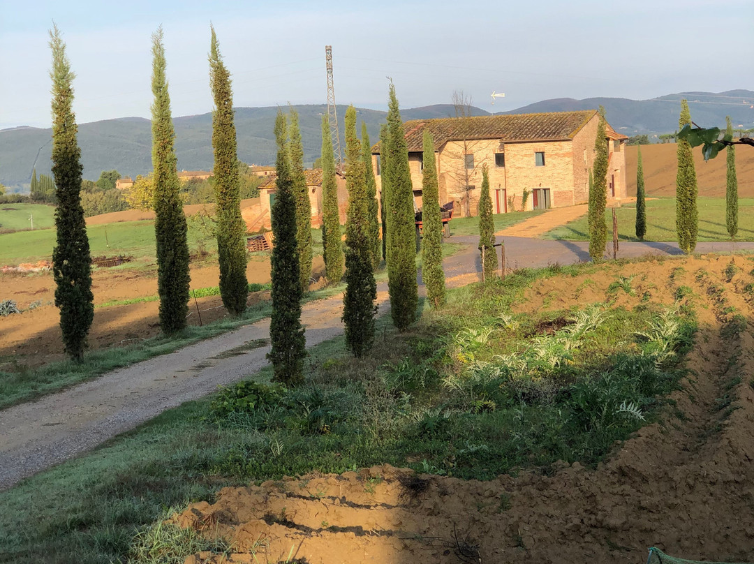 Tenuta La Santissima主图