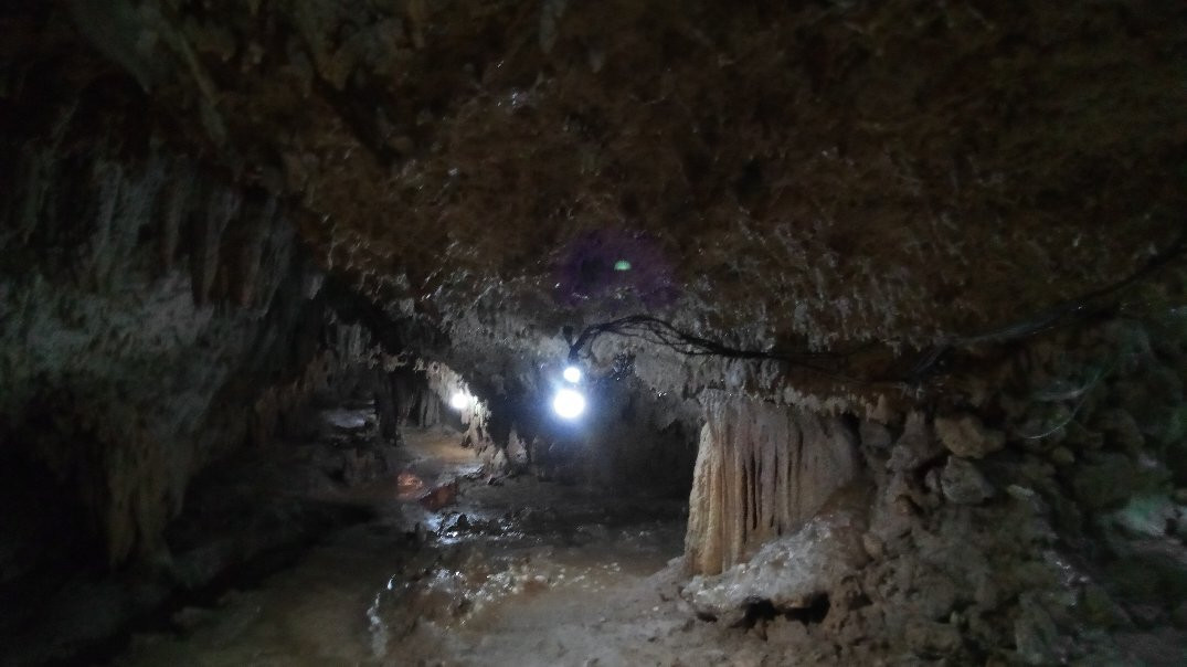 Akasaki Limestone Cavern景点图片