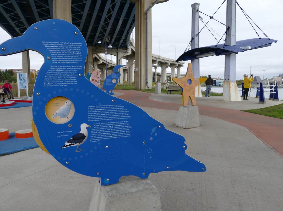 Harbour Passage-圣约翰必去景点