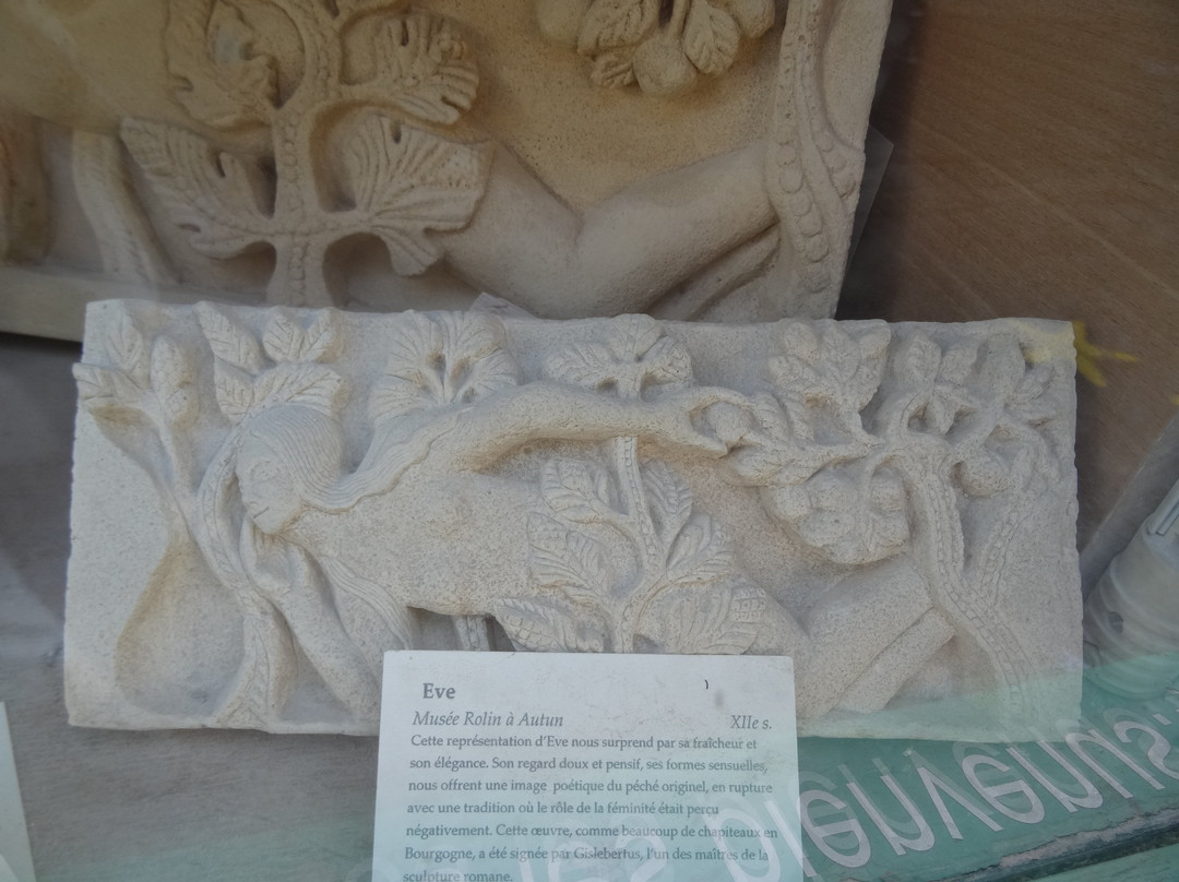 Les Racines du Ciel-鲁昂必去景点