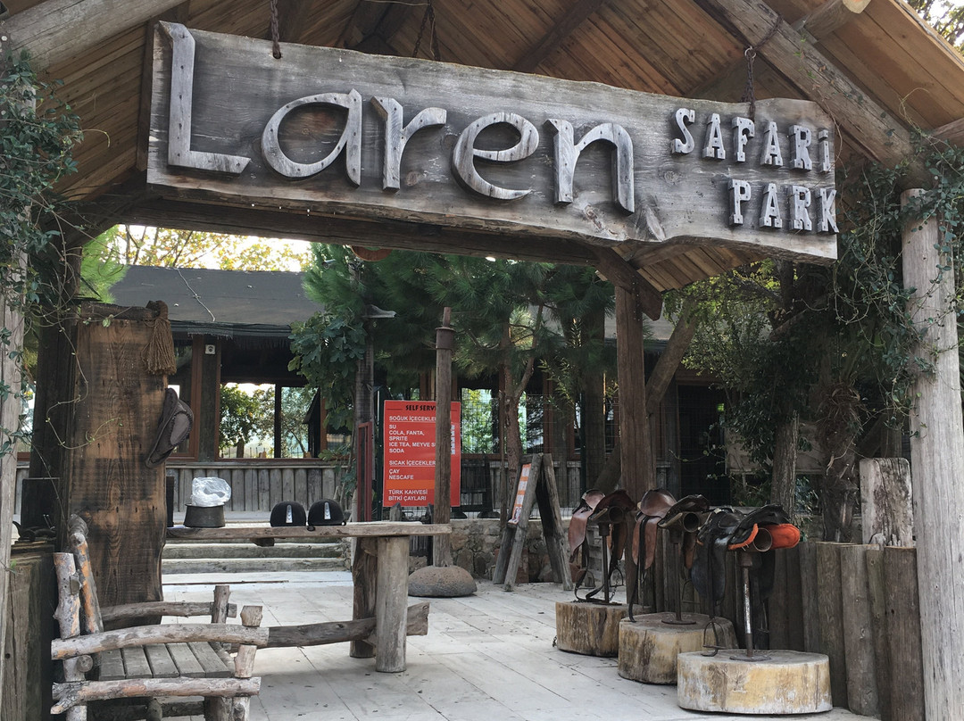 Laren Safari Park景点图片