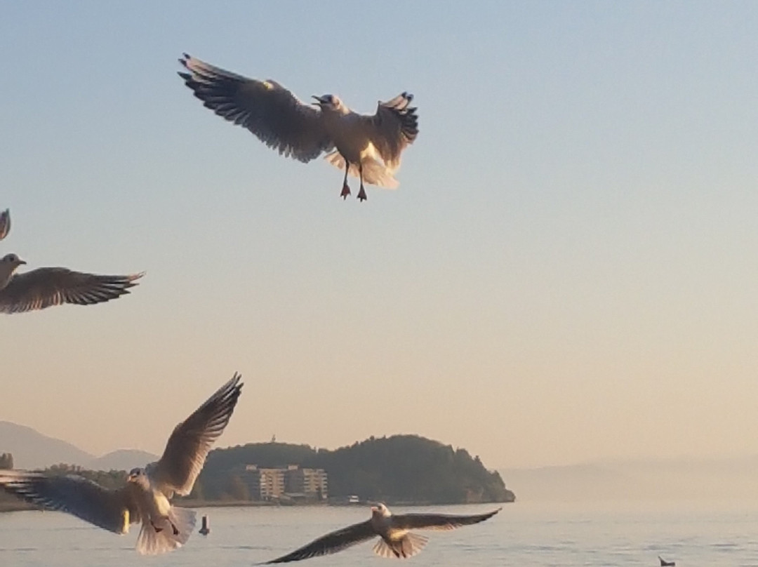 Ohrid Daily Tours-奥赫里德必去景点