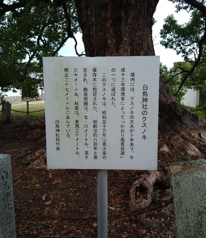 Shirotori Shrine景点图片