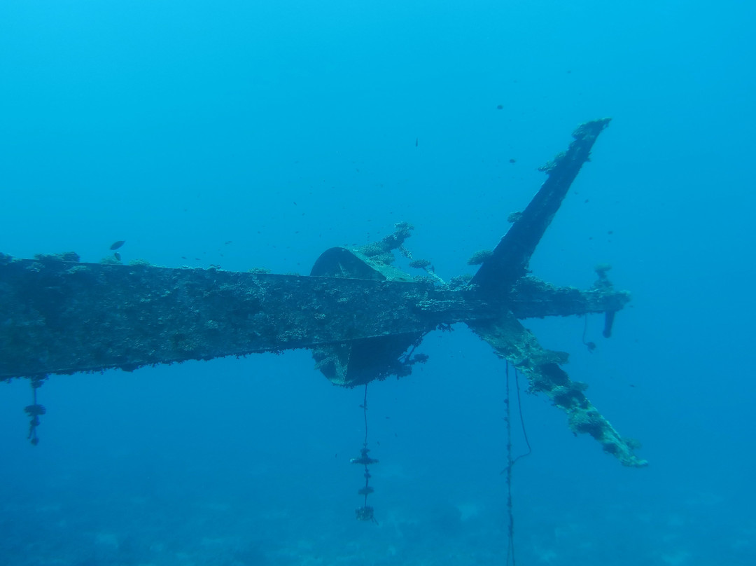 Freedom Divers Safaga-Port Safaga必去景点