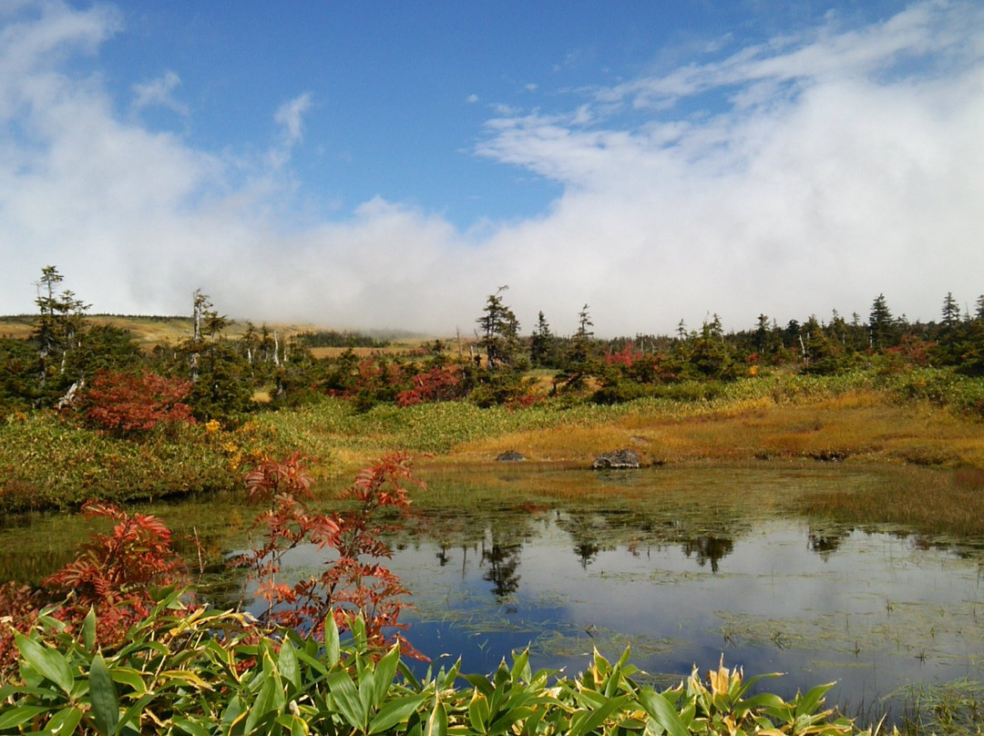 Mt. Naeba景点图片