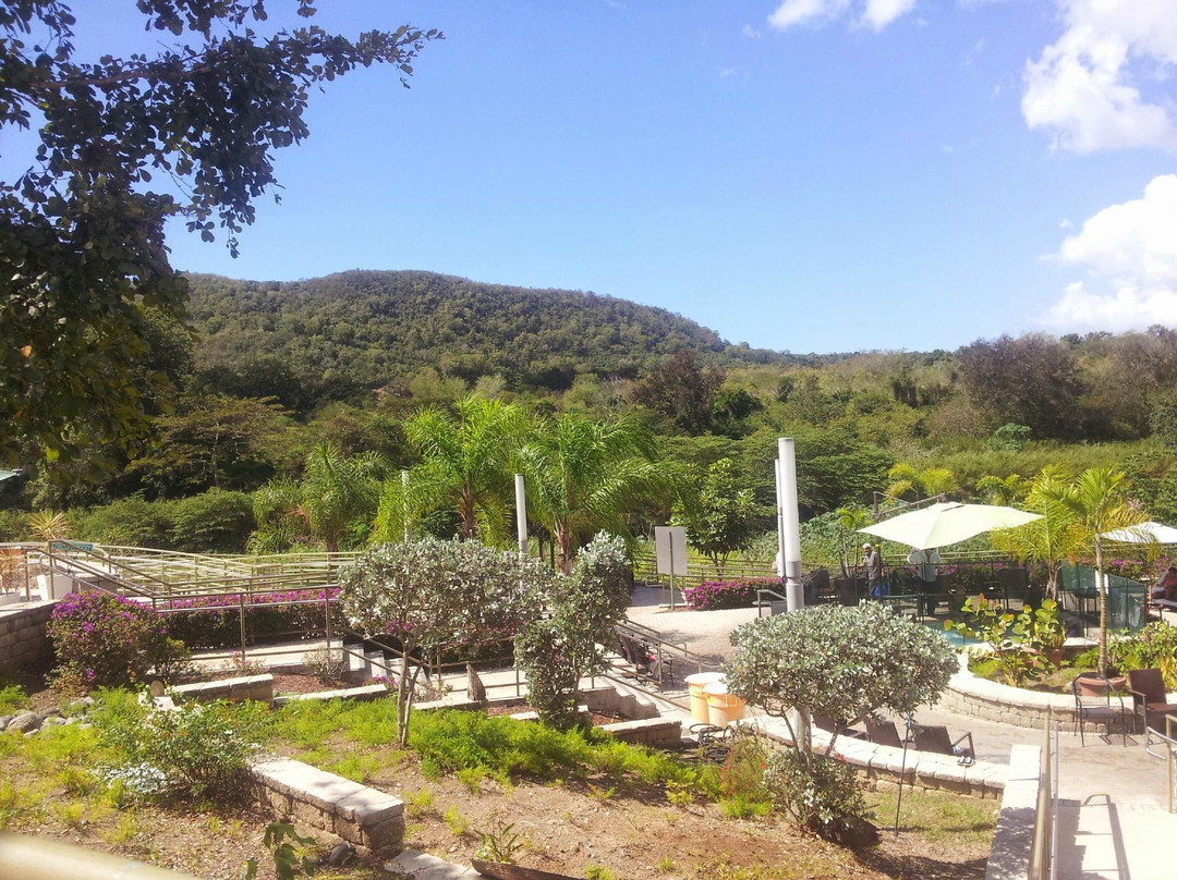Santa Isabel旅游景点-Coamo Thermal Hot Springs