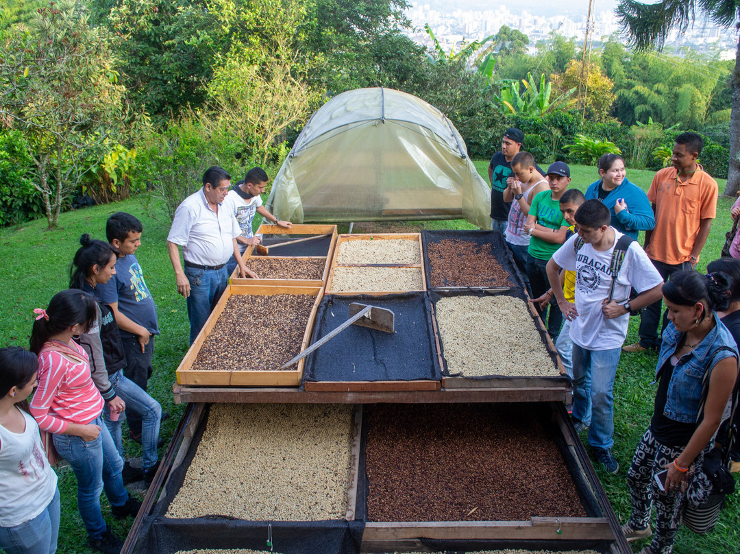Serranía del nudo-Dosquebradas必去景点