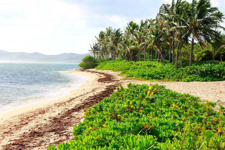 Pelican Cove Beach