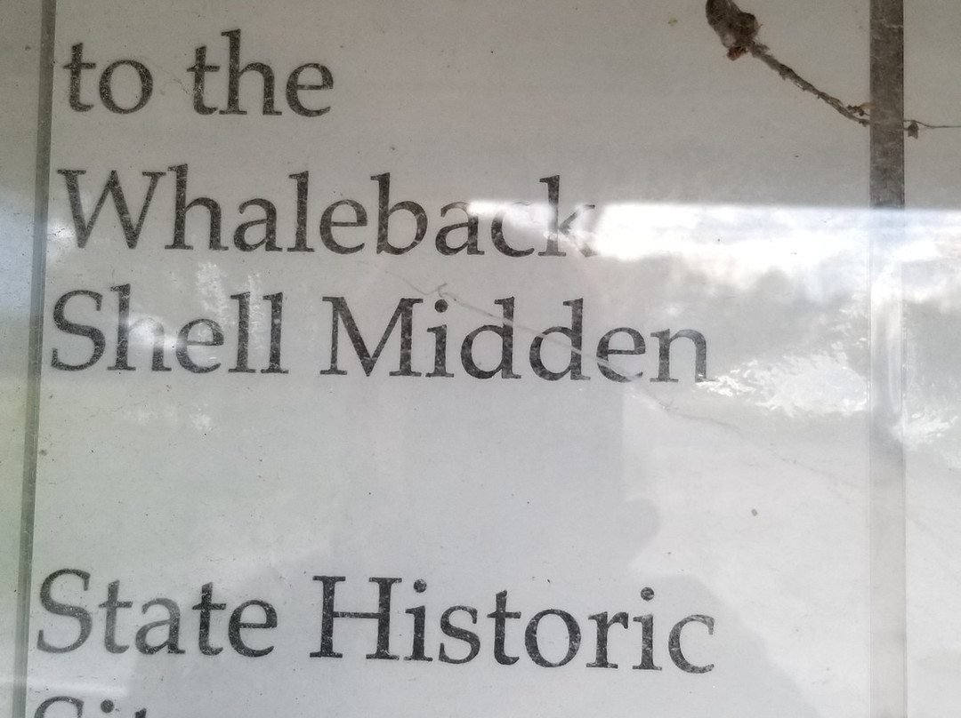 Whaleback Shell Midden State Historic Site景点图片